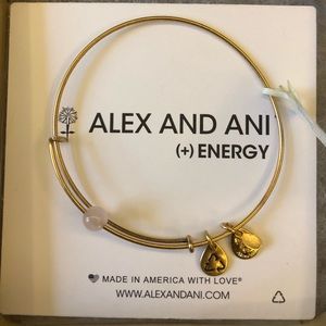 Alex and Ani Energy Series